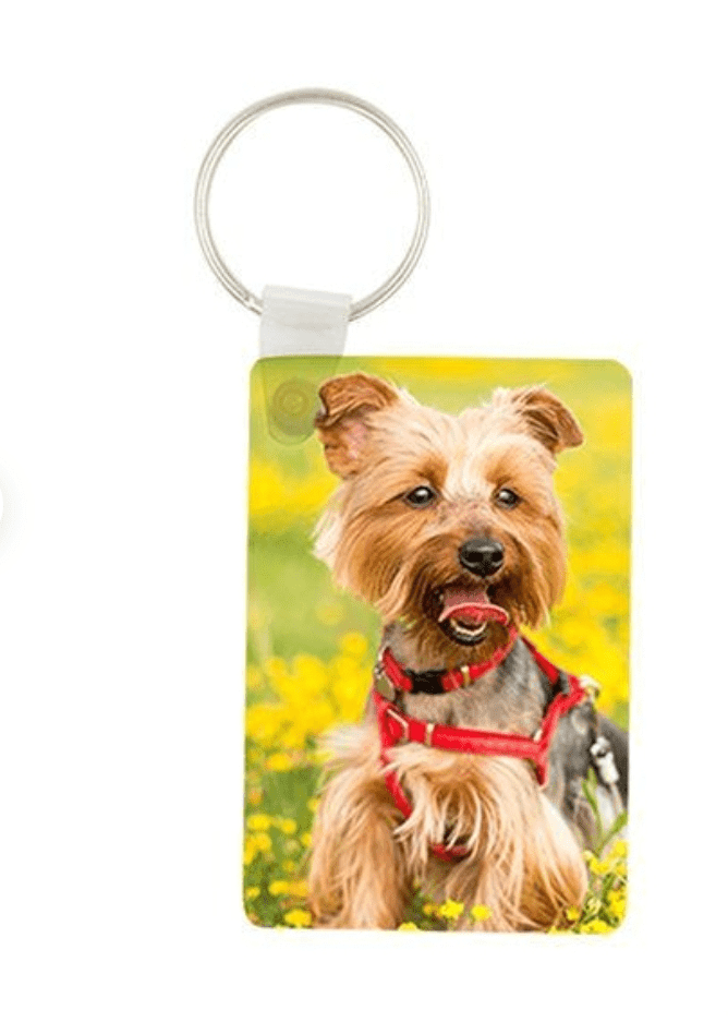 key rings - Luxe Custom Designer