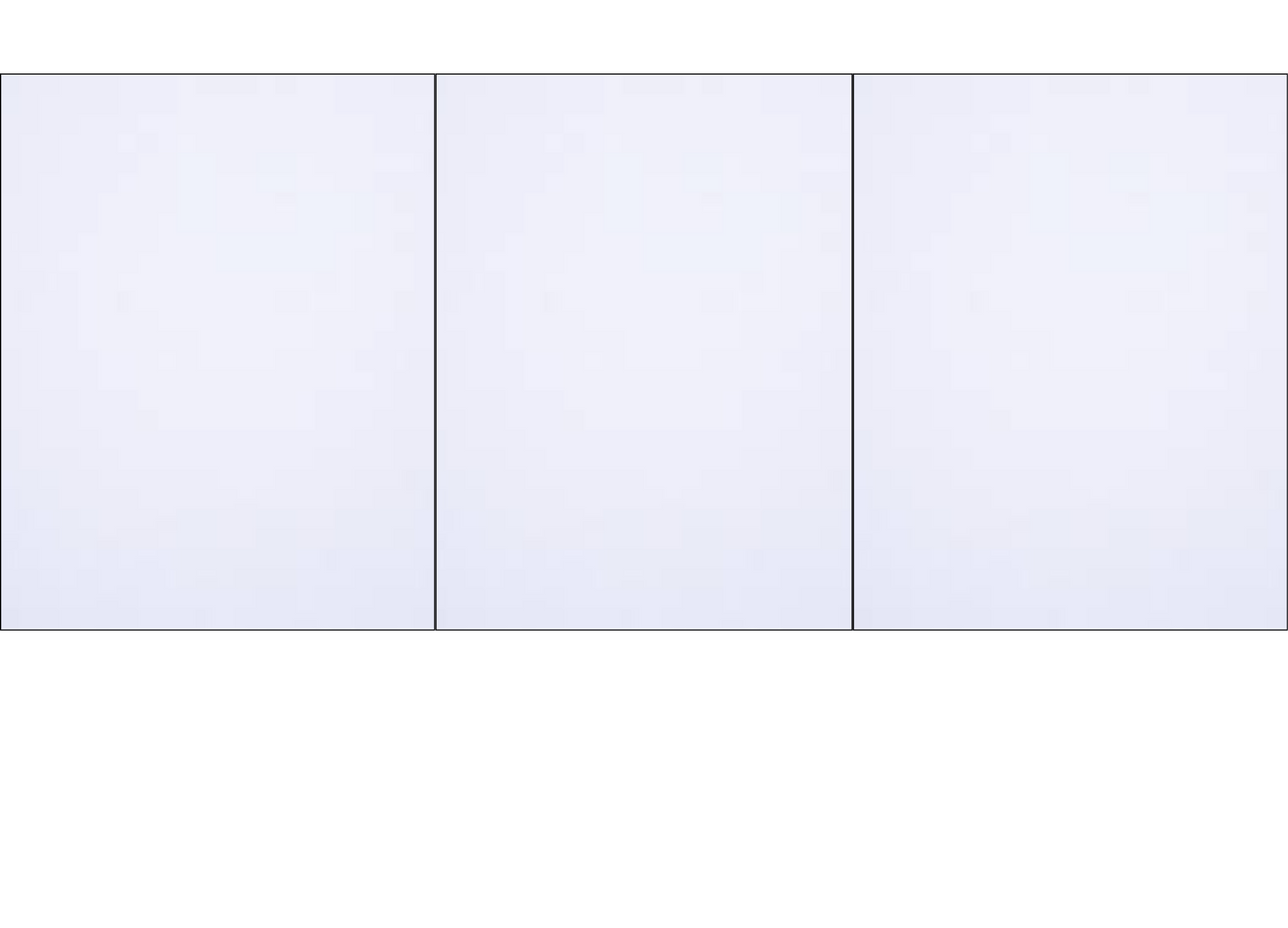 3 Panel Photo Mug - Luxe Custom Designer