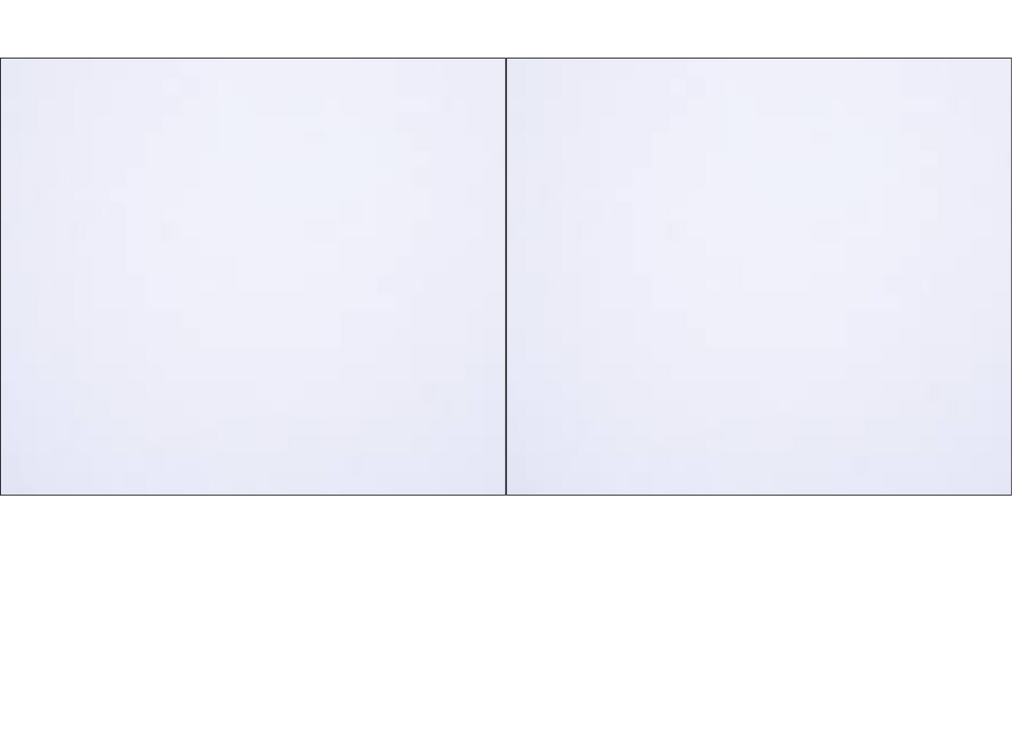 Double Panel Photo Mug - Luxe Custom Designer