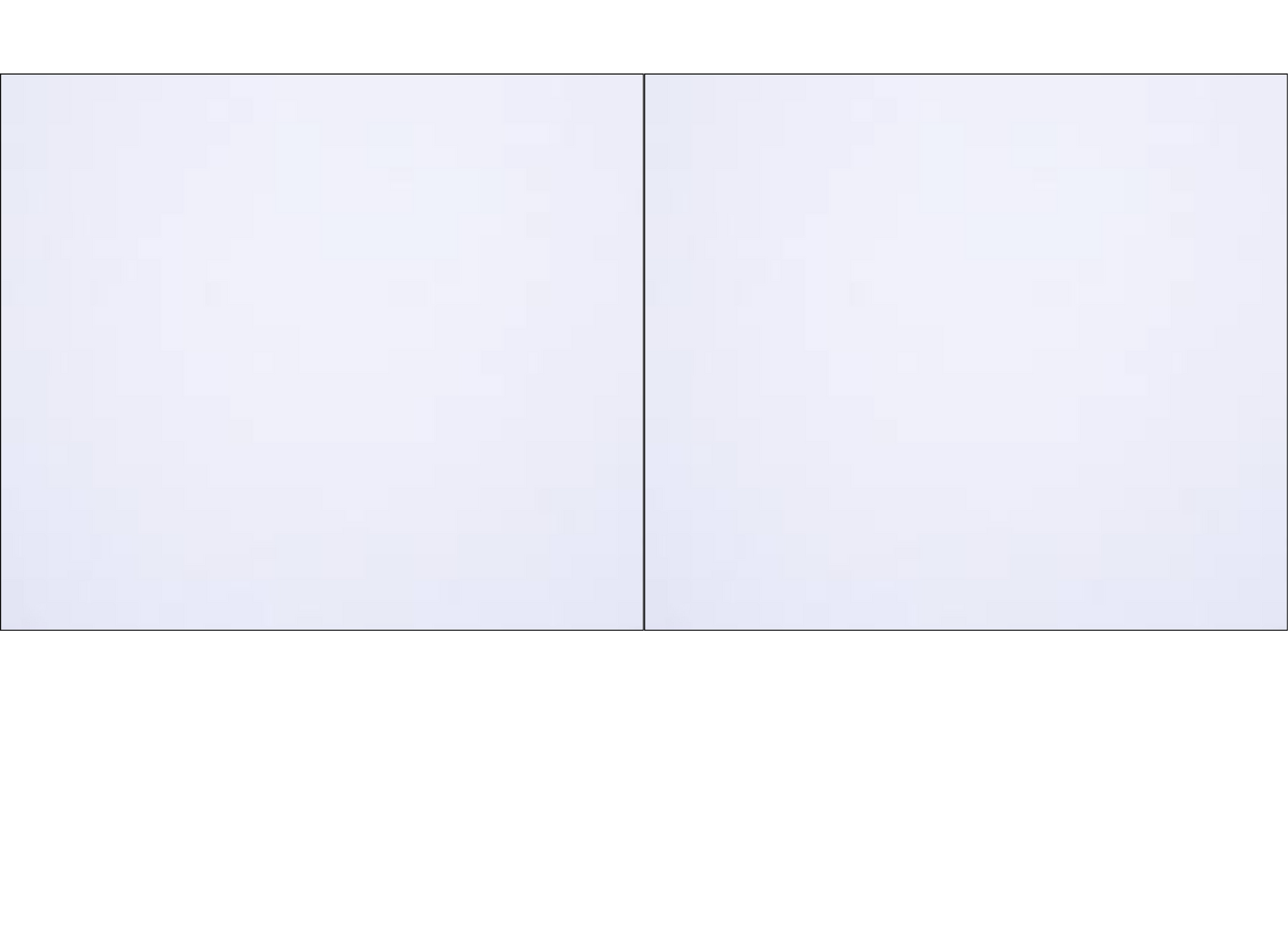 Double Panel Photo Mug - Luxe Custom Designer