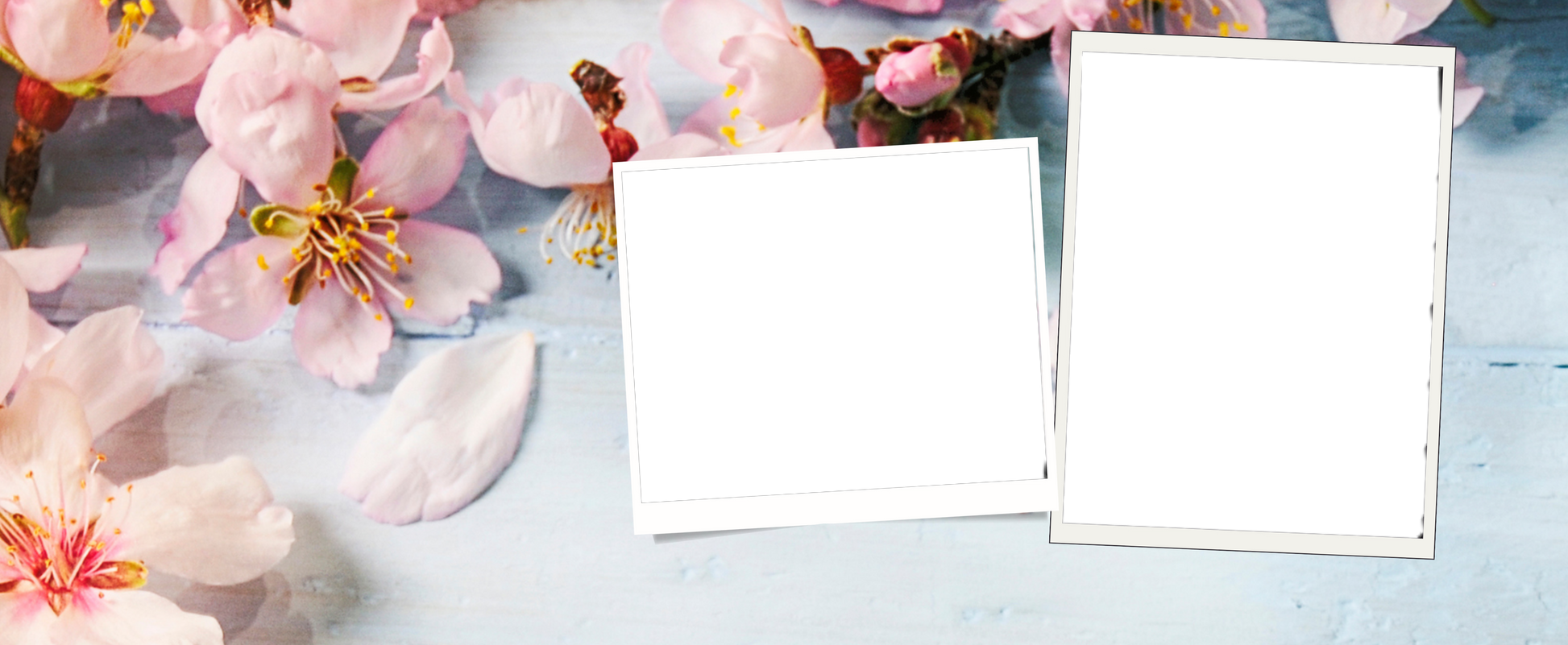2 panel decorative Mug - Luxe Custom Designer