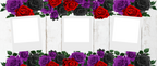 Rose 3 Image Photo Mug by Luxe Sensational