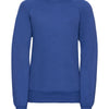 Kids raglan sleeve sweatshirt