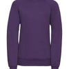 Kids raglan sleeve sweatshirt