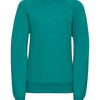Kids raglan sleeve sweatshirt