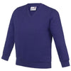 Kids Academy v-neck sweatshirt