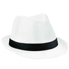 Fedora