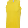 Cool vest