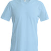Men's short-sleeved V-neck T-shirt