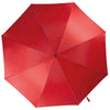 Automatic umbrella