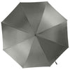 Automatic umbrella