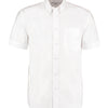 Workplace Oxford shirt short-sleeved (classic fit)