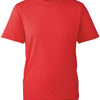 Anthem t-shirt