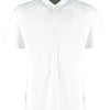 Regular fit micro mesh polo with Cooltex® plus