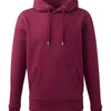 Men's Anthem hoodie