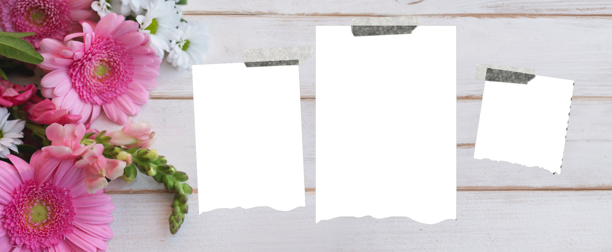 3 Panel Photo mug - Luxe Custom Designer