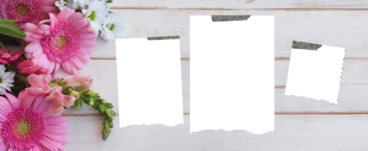 3 Panel Photo mug by Luxe Sensational