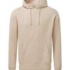 Anthem unisex hoodie