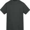 Anthem Amplify heavyweight t-shirt