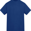 Anthem Amplify heavyweight t-shirt