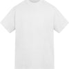 Anthem Amplify heavyweight t-shirt