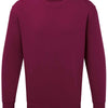 Anthem sweatshirt