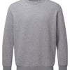 Anthem sweatshirt