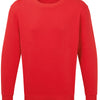 Anthem sweatshirt