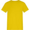 The AWDis 150 Kids T