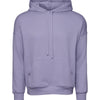 Unisex sponge fleece pullover DTM hoodie