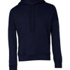 Unisex sponge fleece pullover DTM hoodie