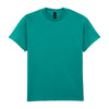 Ultra Cotton™ adult t-shirt