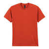 Heavy Cotton™ adult t-shirt