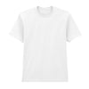 Softstyle™ midweight adult no-label enzyme wash t-shirt