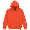 Heavy Blend™ youth hooded sweatshirt