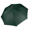 Auto open wooden umbrella